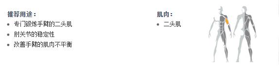 广州桃子视频在线观看免费完整版网健身器材