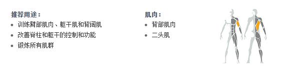 广州桃子视频在线观看免费完整版网健身器材