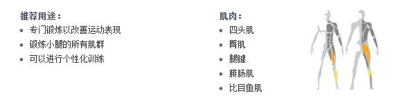 广州桃子视频在线观看免费完整版网健身器材