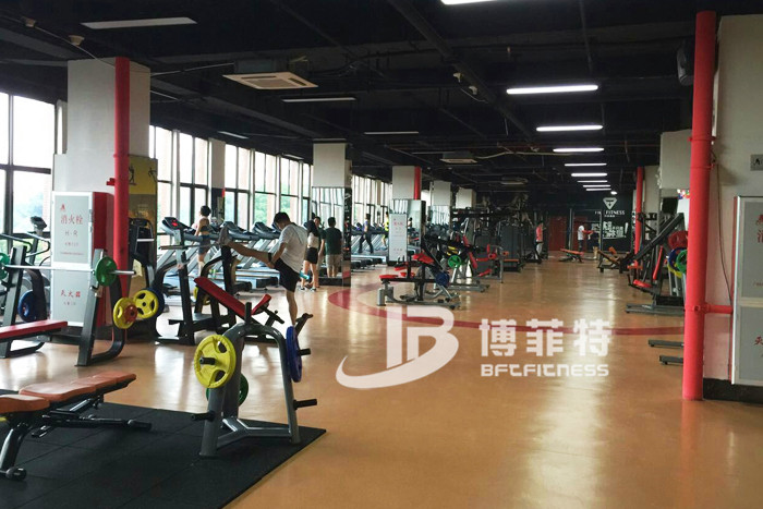桃子视频在线观看免费完整版网健身器材