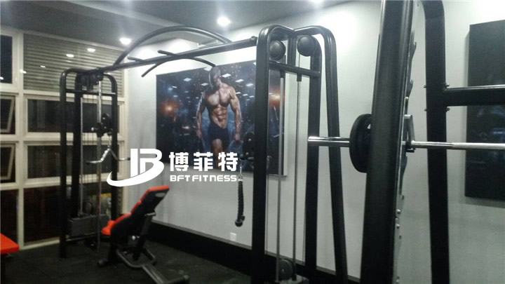 桃子视频在线观看免费完整版网健身器材