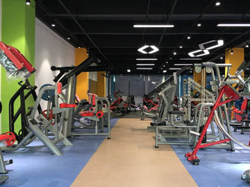 桃子视频在线观看免费完整版网健身器材公司展厅实拍图片7